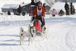 Lenk 2012 SM